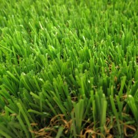 Finesse Turf