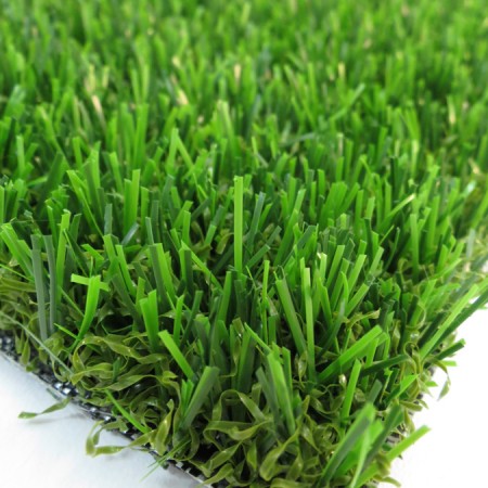 Vision Plus Grass